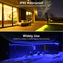 Load image into Gallery viewer, ShinePick Led Strip Lights 32.8ft Waterproof SMD 5050 150LEDs Light Strips Kit with 44 Keys Remote Controller and 12V Power Supply(2 Pack 16.4ft)