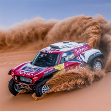 Load image into Gallery viewer, Rally X 2020