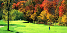 Load image into Gallery viewer, Golf Star: Free game