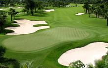 Load image into Gallery viewer, Golf Star: Free game