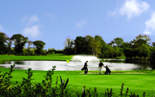 Load image into Gallery viewer, Golf Star: Free game
