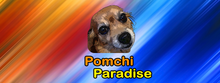 Load image into Gallery viewer, Pomchi Paradise - Dog Action Adventure Game