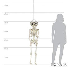Load image into Gallery viewer, Fun Express Two-Headed Life-Size Human Skeleton (5 feet Tall) Posable
