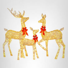 Load image into Gallery viewer, Best Choice Products 3-Piece Large Lighted Christmas Deer Family Set 5Ft Outdoor Yard Decoration with 360 LED Lights, Stakes, Zip Ties - Gold
