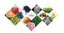 Load image into Gallery viewer, Gisada Switzerland - Ambassador Men - Luxurious Cologne for Men with Spicy, Vibrant, Floral Notes - Daily Wear Mens Cologne with Fresh Citrus &amp; Warm Wood Aroma - Made in Switzerland - 1.7 fl.oz.
