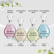 Load image into Gallery viewer, Salvatore Ferragamo Signorina Misteriosa Eau de Parfum, 3.4 Fluid Ounce
