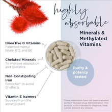 Load image into Gallery viewer, Designs for Health Prenatal Pro Methylated Multivitamin for Women - Prenatal Vitamins with Iron, A, D, E + Vitamin K with Methylated Folate, Calcium Magnesium Zinc for Nursing + Postpartum (120 Caps)
