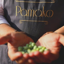 Load image into Gallery viewer, Pamako Ultra-Premium Monovarietal Mountain Organic Olive Oil | 500ml | 2023-4 Harvest | Cold Pressed Organic Evoo From Greece | 2039mg/kg
