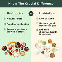 Load image into Gallery viewer, BB Company Previtalize | Prebiotics for Women, Prebiotic Fiber for Gut Health, Digestive Health | Food for Good Probiotics | Complement to Probiotics &amp; Provitalize | Packaging Vary | 60 Ct
