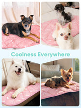 Load image into Gallery viewer, Rywell Dog Cooling Mat 2.0,Soft Blush Pink, 44" x 32" Thick &amp; Durable Cooling Mat for Extra Large Dogs, Long-Lasting Cool with Waterproof &amp; Color-Changing Arc-Chill Tech (Q-Max>0.5) Washable&amp;Non-Toxic
