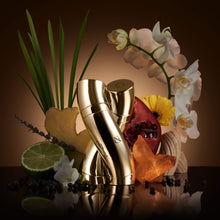 Load image into Gallery viewer, R&amp;C Fragrance Harmony by R&amp;C Fragrance-The Fragrance Duo-Matching Fragrances for Him and Her-Beautifully Entwined,Magnetic Bottles Symbolize Unity-Subtle and Contemporary Scent-2 pc EDP Spray
