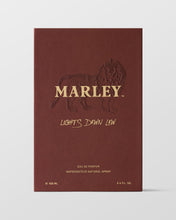Load image into Gallery viewer, Michael Malul / Marley Lights Down Low 100ml | 3.4oz EDP
