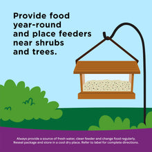 Load image into Gallery viewer, Kaytee Nut &amp; Fruit Wild Bird Seed, 5 lb
