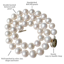 Load image into Gallery viewer, Pearl Romance II Round Pearl II White Pearl Necklace Genuine Cultured Freshwater (10-10.5mm; Necklace 18 Inch)

