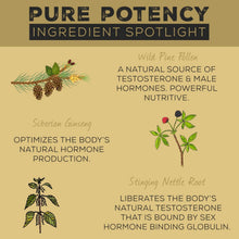 Load image into Gallery viewer, Surthrival: Pine Pollen Pure Potency Extract (1.69 fl oz), Increased Stamina, Hormone Balance, Energy &amp; Endurance Restoration
