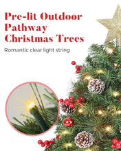 Load image into Gallery viewer, OasisCraft 33 Inch Outdoor Christmas Tree Frosted Urn Filler 2 Set, Pre-lit Artificial Xmas Tree with 50 LED Lights, Realistic Carolina Pine and Berries for Pathway, Porch, Driveway, Yard
