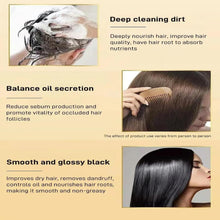 Load image into Gallery viewer, 240ML Ginger Extract Shampoo, Polygonum Multiflorum Oil Control Anti-Dandruff Shampoo, Identicalven Hair Loss Shampoo
