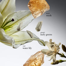 Load image into Gallery viewer, philosophy pure grace eau de parfum - crisp &amp; clean women's perfume - with notes of water lily, leafy greens &amp; musk - long lasting fragrance - 2 fl oz
