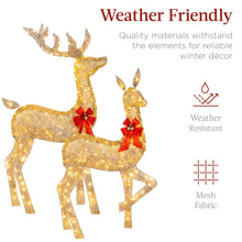 Load image into Gallery viewer, Best Choice Products 3-Piece Large Lighted Christmas Deer Family Set 5Ft Outdoor Yard Decoration with 360 LED Lights, Stakes, Zip Ties - Gold
