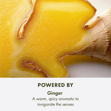 Load image into Gallery viewer, Origins Ginger Essence Perfume | With Notes of Bergamot, Lemon &amp; Lime, 3.4 Fl Oz

