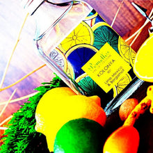 Load image into Gallery viewer, Pomellos Eau de Cologne by eeose (Lime Mexico &amp; Bergamot, 250ml)
