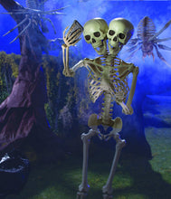 Load image into Gallery viewer, Fun Express Two-Headed Life-Size Human Skeleton (5 feet Tall) Posable
