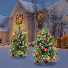 Load image into Gallery viewer, OasisCraft 33 Inch Outdoor Christmas Tree Frosted Urn Filler 2 Set, Pre-lit Artificial Xmas Tree with 50 LED Lights, Realistic Carolina Pine and Berries for Pathway, Porch, Driveway, Yard
