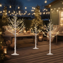 Load image into Gallery viewer, Cofiyard Outdoor Christmas Decorations Lighted Birch Tree Set of 3, LED Warm White 4, 6 and 8 Feet, for Indoor Christmas Decor, Party, Garden, Yard, Wedding, Holiday
