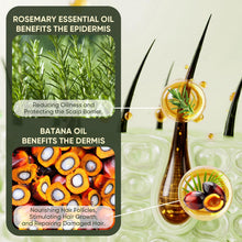 Load image into Gallery viewer, Batana Oil Shampoo and Conditioner Set, Batana Oil Shampoo for Hair Loss, Restores Hair Vitality and Rejuvenates, Stimulates Hair Growth, Repairs Damage for Men &amp; Women 300ml+300ml 10.58fl.oz
