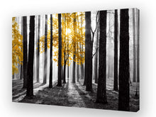 Load image into Gallery viewer, Cao Gen Decor Art S06369 Wall Art Canvas Painting Yellow Tree in Black and White Sunshine Foggy Forest Picture Poster Print Framed Ready to Hang for Living Room Bedroom Office Home Decor
