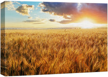 Load image into Gallery viewer, Canvas Prints Wall Art - Beautiful Scenery/Landscape Sunset Over Wheat Field | Modern Home Deoration/Wall Art Giclee Printing Wrapped Canvas Art Ready to Hang - 12" x 18"
