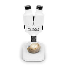 Load image into Gallery viewer, Educational Insights GeoSafari Stereoscope, Introductory Stereo Microscope for Kids, Dual Eyepiece Up to 20x Magnification, Includes 12 Rock Samples, Ages 8+
