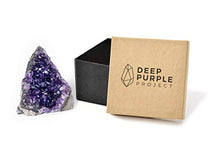 Load image into Gallery viewer, Deep Purple Project 1 Lb Quartz Crystal Cluster Raw Amethyst Stone Plus: Gift WRAP Box Included
