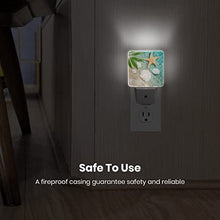 Load image into Gallery viewer, Sea Shell Starfish Beach Seaside Palm Night Light Plug in LED Lamp Acrylic Glass Decor Night Lights Plug into Wall with Automatic Light Sensor Nightlight for Stair, Bedroom, Kitchen, Bathroom
