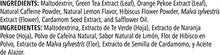 Load image into Gallery viewer, Herbal Tea Concentrate Original
