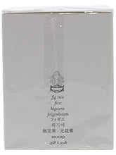 Load image into Gallery viewer, Diptyque - Figuier Candle
