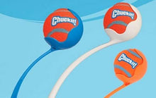 Load image into Gallery viewer, ChuckIt! Tennis Balls Small/Petite (2 Pack)
