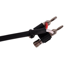 Load image into Gallery viewer, Seismic Audio BS12Q20-2Pack 20-Feet Pro Audio Banana to 1/4-Inch Speaker Cable 12-Gauge 2 Conductor, Pair
