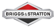 Load image into Gallery viewer, Briggs &amp; Stratton 2-Cycle Easy Mix Motor Oil - 16 Oz. 100036
