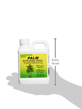 Load image into Gallery viewer, Southern Ag Palm Nutritional Nutrional Spray, 16oz - Pint
