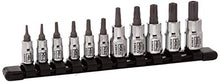 Load image into Gallery viewer, 11Pc 1/4" &amp; 3/8" Dr Chrome Tamperproof Star Bit Socket Rail
