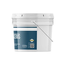 Load image into Gallery viewer, Diatomaceous Earth (1 Gallon) by Earthborn Elements, Resealable Bucket, Highest Quality, FCC Food Grade, 100% Pure Freshwater Amorphous Silica
