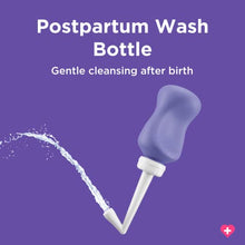 Load image into Gallery viewer, Lansinoh Postpartum Essentials Recovery Bundle for Baby Showers
