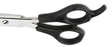 Load image into Gallery viewer, Laazar Straight Pet Grooming Scissors, 5.5" Shear
