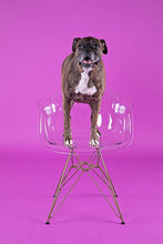 Load image into Gallery viewer, Flash Furniture Alonza Series Transparent Side Chair with Gold Base
