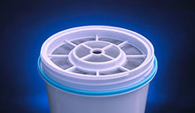 Load image into Gallery viewer, ZeroWater Replacement Filters 12-Pack BPA-Free Replacement Water Filters &amp; ZP-010, 10 Cup Water Filter Pitcher with Water Quality Meter
