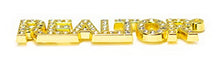 Load image into Gallery viewer, Real Estate Agent REALTOR® Crystal Lapel Pin (REALTOR Silver &amp; Gold 2 Pack)

