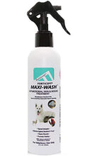Load image into Gallery viewer, Forticept Maxi-Wash Antiseptic Antifungal Antibacterial Medicated Itch Relief Hot Spot Spray for Dogs &amp; Cats|First Aid Skin and Paw Cleanser | Wounds Treatment 8 oz
