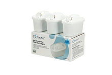 Load image into Gallery viewer, Pitcher of Life New &amp; Improved 2022 - Alkaline Pitcher Replacement Water Filters - by Life Ionizers (Pack of 3)
