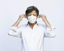 Load image into Gallery viewer, COVAFLU KN95 Disposable Fold Flat Face Mask (Pack of 10 KN95 Face Masks)
